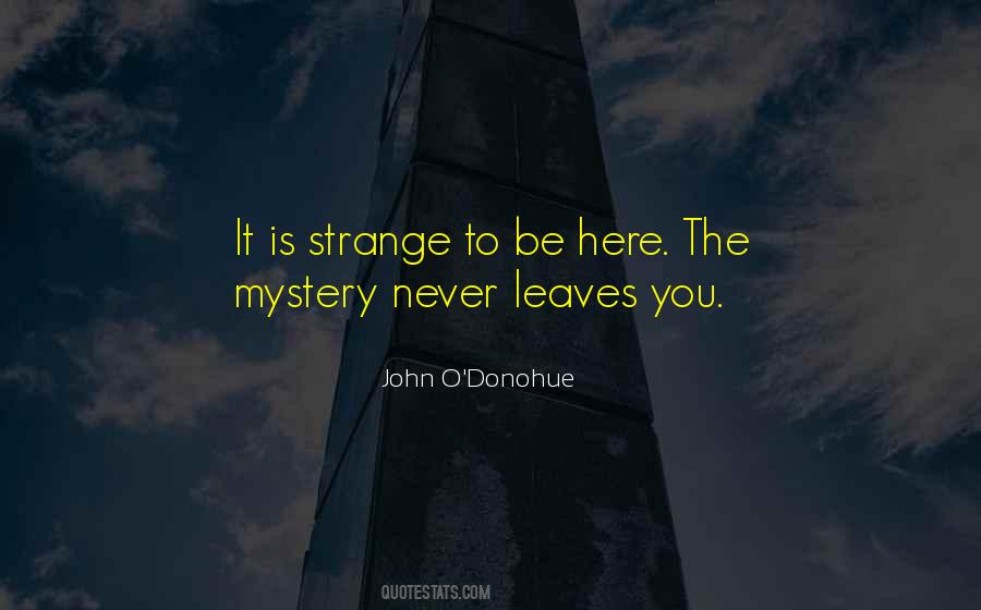 John Donohue Quotes #181557