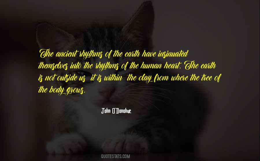 John Donohue Quotes #211621