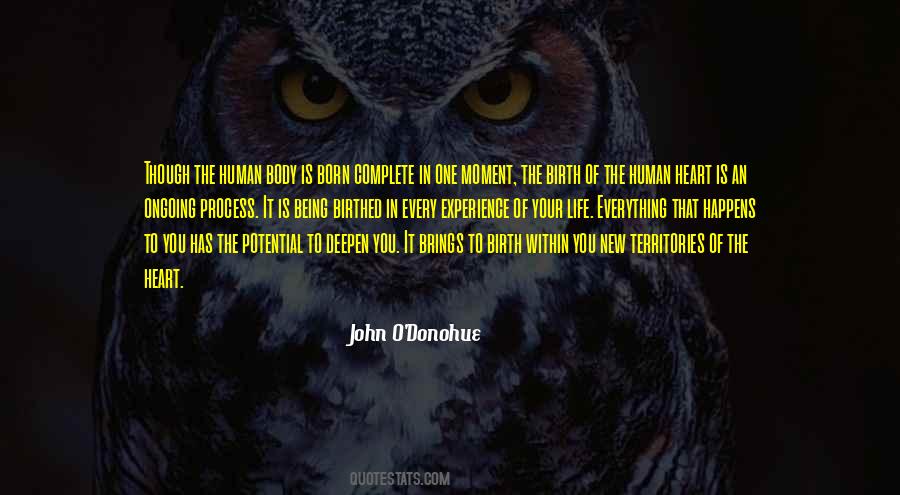 John Donohue Quotes #292745