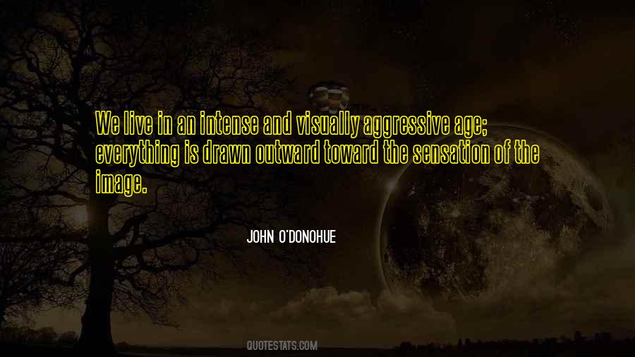 John Donohue Quotes #372613