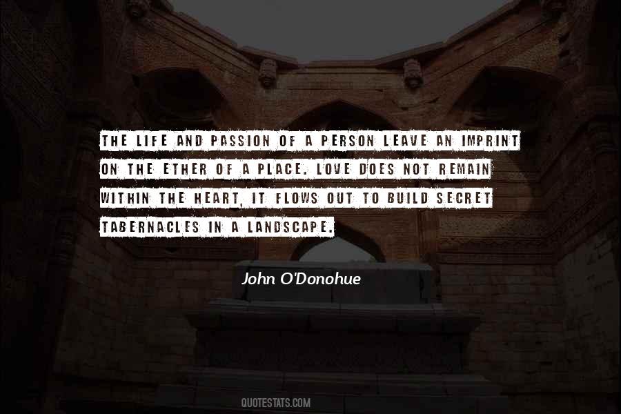 John Donohue Quotes #486620