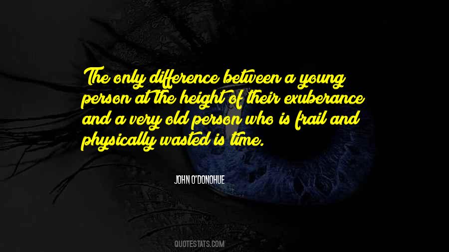 John Donohue Quotes #665173