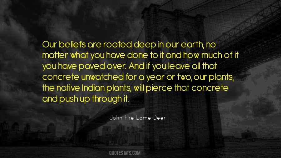 John Fire Lame Deer Quotes #458111