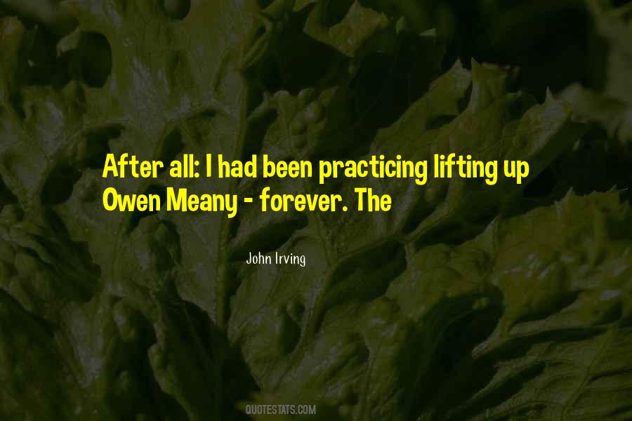 John Irving Quotes #290729