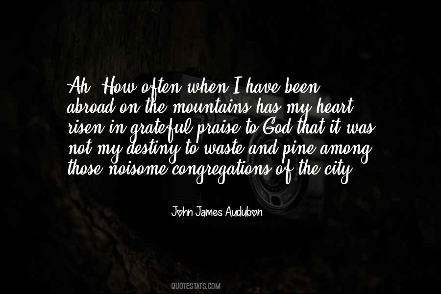 John James Quotes #96594