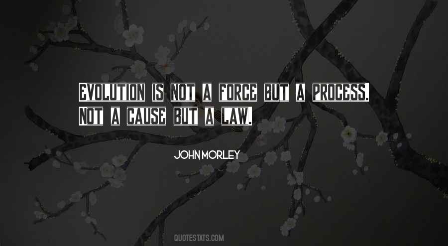John Morley Quotes #769000