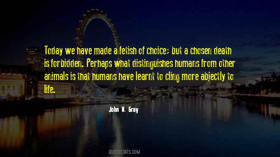 John N Gray Quotes #152169