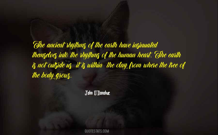 John O'keefe Quotes #211621