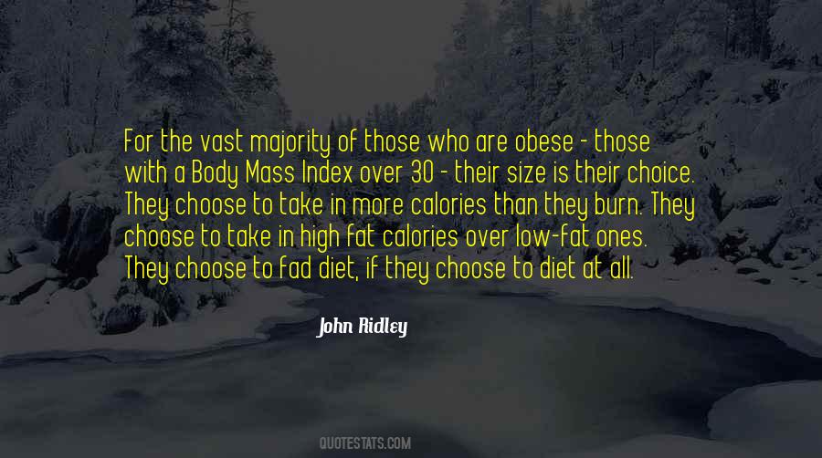 John Ridley Quotes #61225