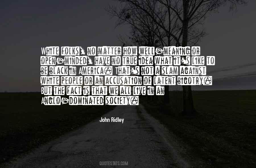 John Ridley Quotes #767382