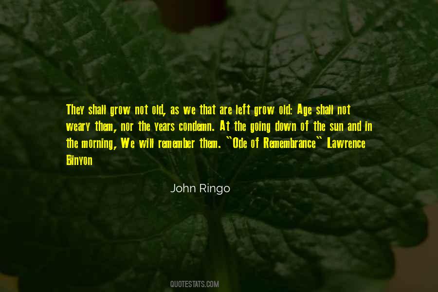 John Ringo Quotes #605225