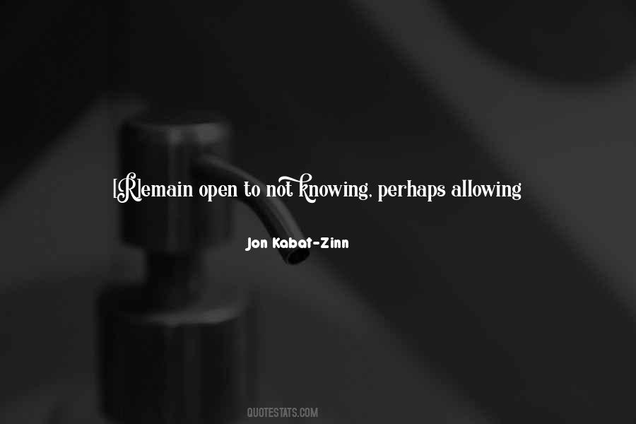 Jon Kabat Zinn Quotes #87184