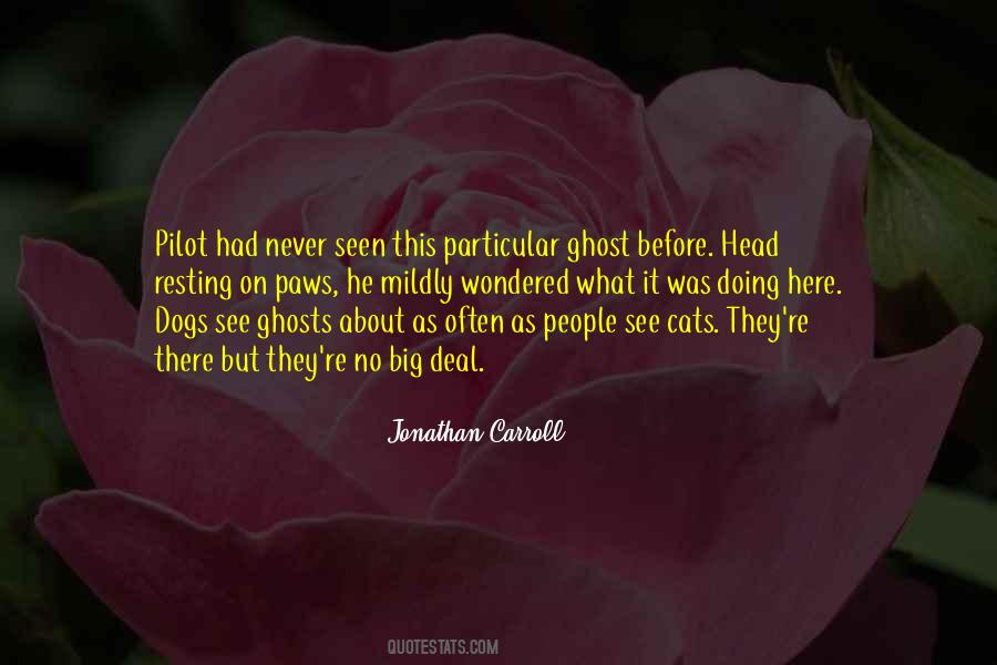 Jonathan Carroll Quotes #875978