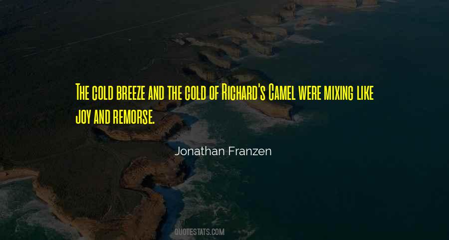 Jonathan Franzen Quotes #515329