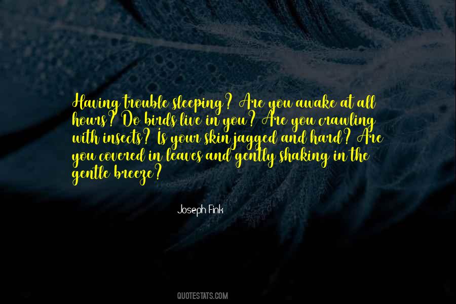 Joseph Fink Quotes #603901