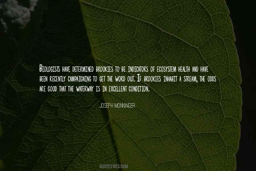 Joseph Monninger Quotes #289844