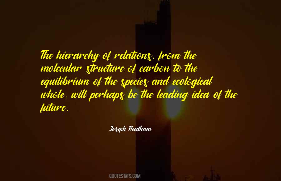 Joseph Needham Quotes #1492142