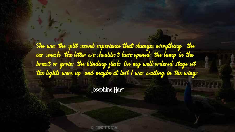 Josephine Hart Quotes #1440683