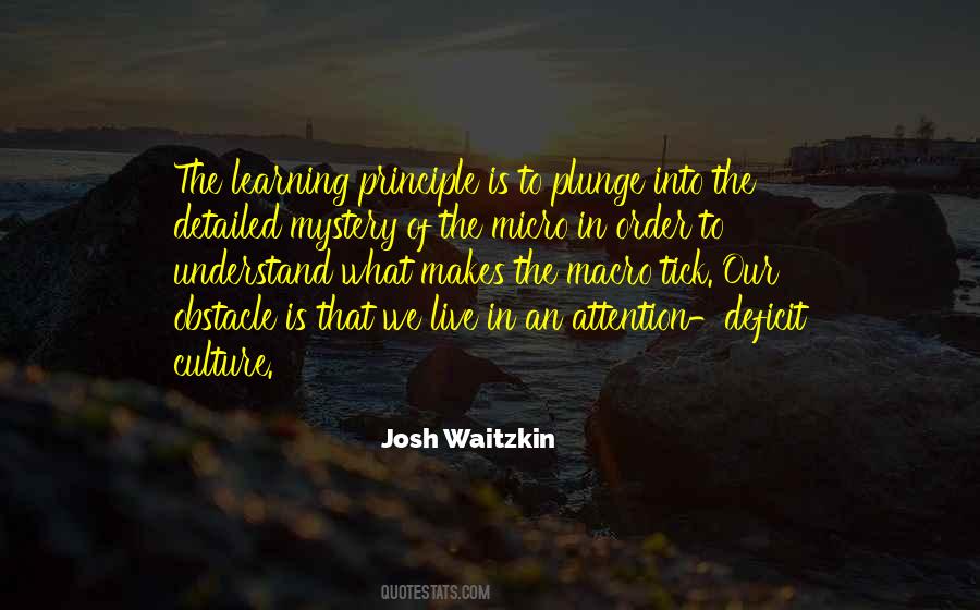 Josh Waitzkin Quotes #881899