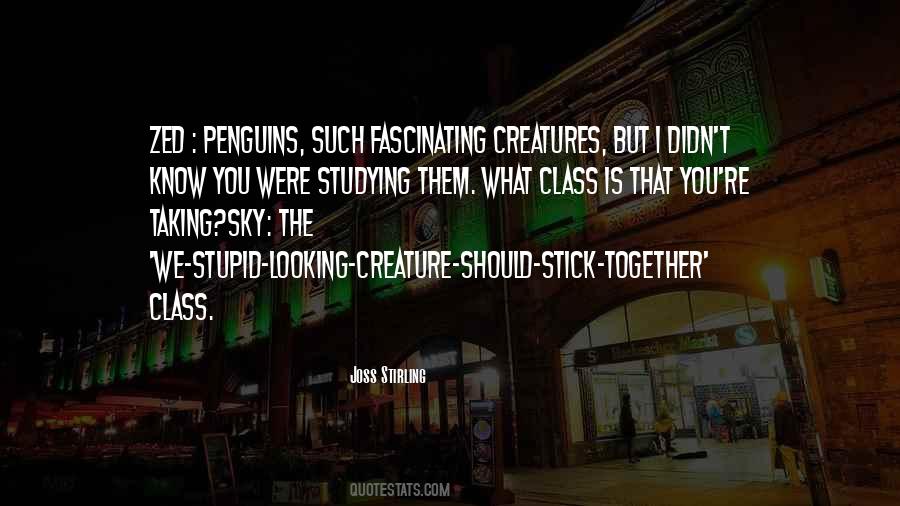 Joss Stirling Quotes #1036849