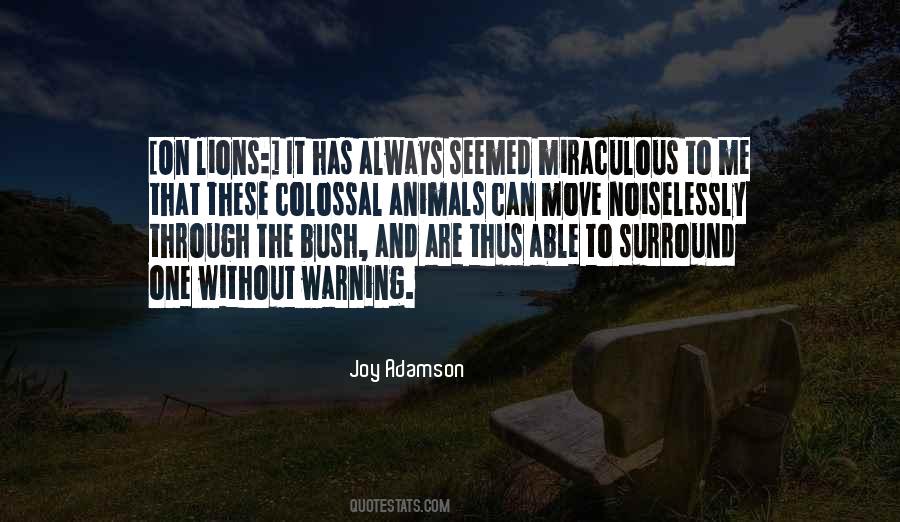 Joy Adamson Quotes #905811