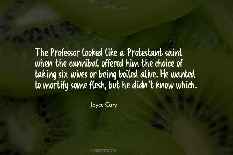 Joyce Cary Quotes #208635