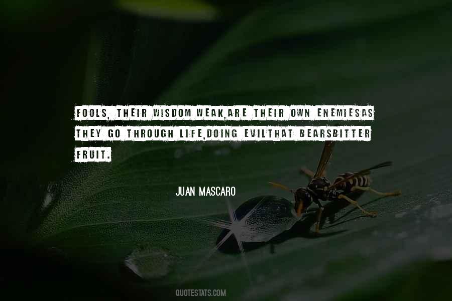 Juan Mascaro Quotes #607041