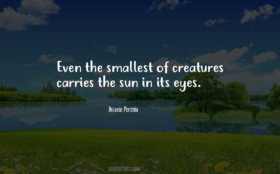 Quotes About Sun In Your Eyes #74595