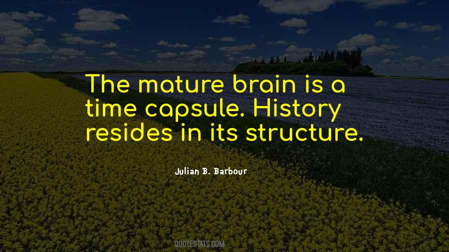 Julian Barbour Quotes #1737142