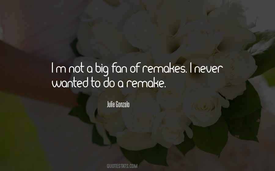 Julie Gonzalo Quotes #279274