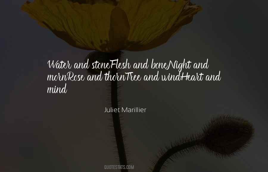 Juliet Marillier Quotes #946623