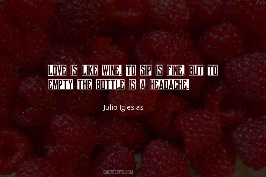 Julio Iglesias Quotes #280896
