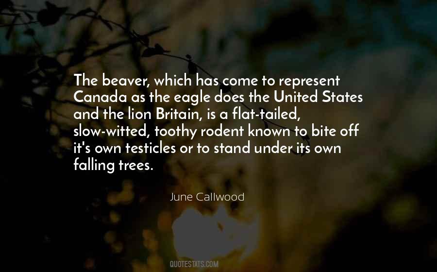 June Callwood Quotes #1046030