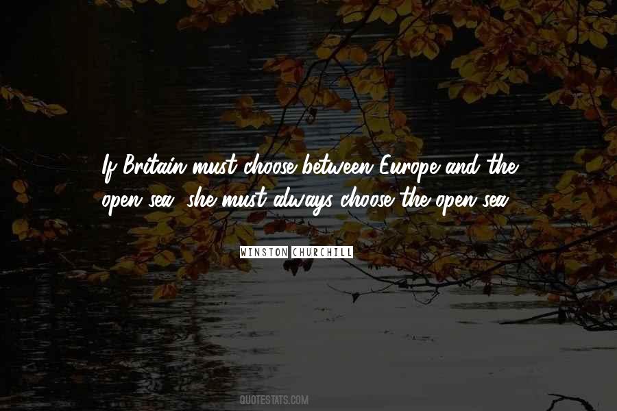 Quotes About Britain And Europe #1524524