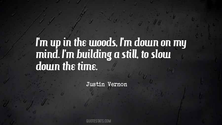 Justin Vernon Quotes #294788