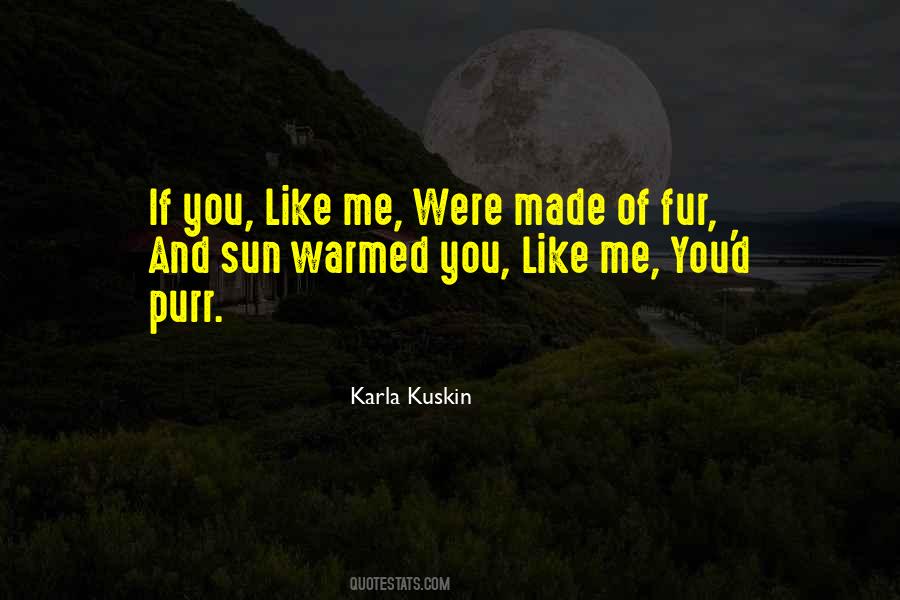 Karla Kuskin Quotes #301921