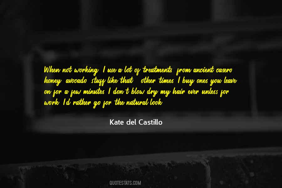 Kate Del Castillo Quotes #253934