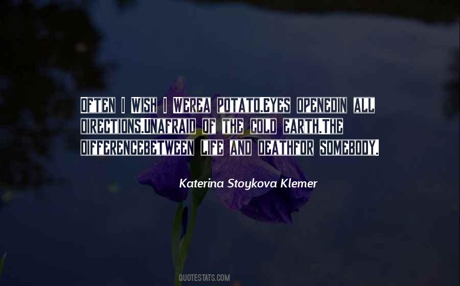 Katerina Stoykova Klemer Quotes #883284