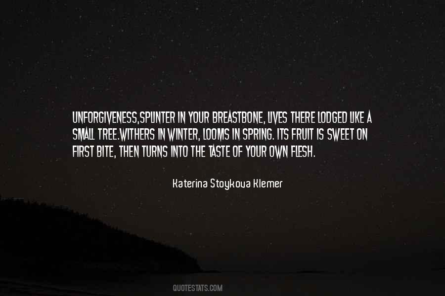 Katerina Stoykova Klemer Quotes #936440