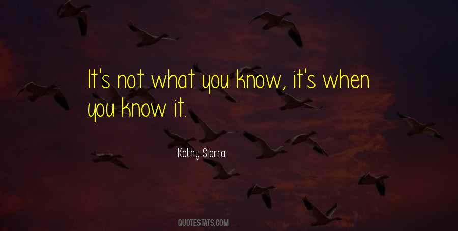 Kathy Sierra Quotes #1835992