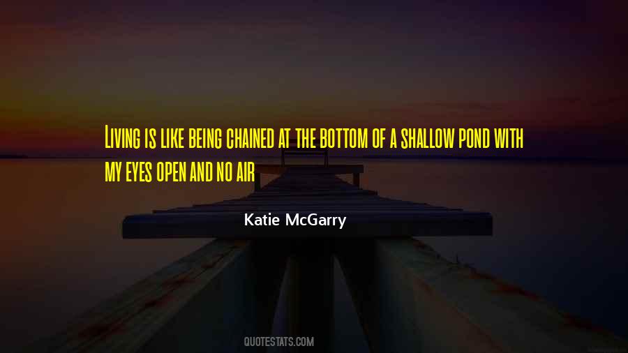 Katie Mcgarry Quotes #231231