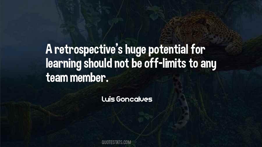 Quotes About Retrospective #151980