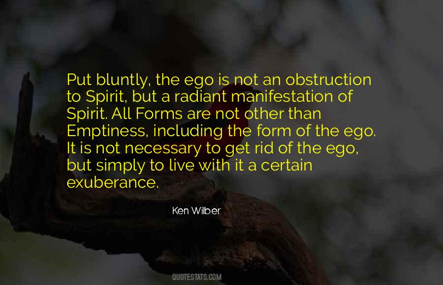 Ken Wilber Quotes #1079223