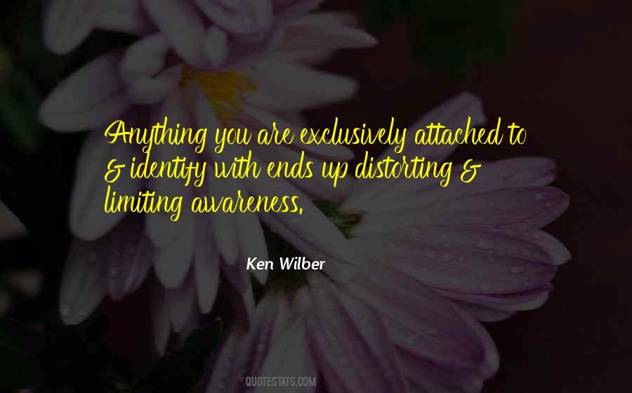 Ken Wilber Quotes #403469