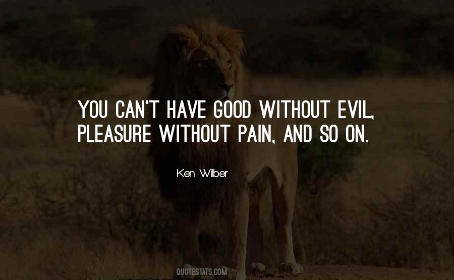 Ken Wilber Quotes #775392