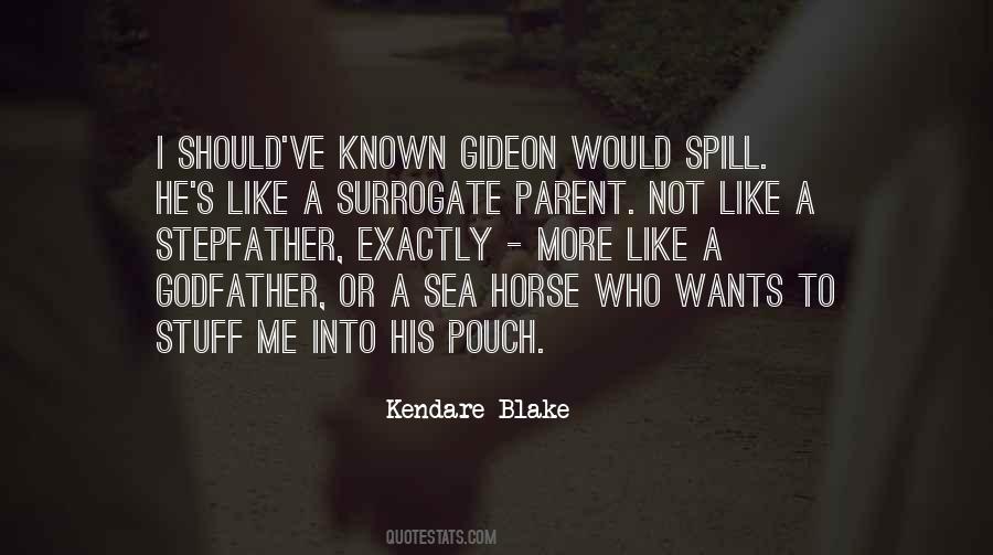 Kendare Blake Quotes #185078