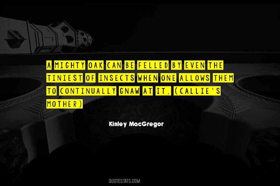 Kinley Macgregor Quotes #605022