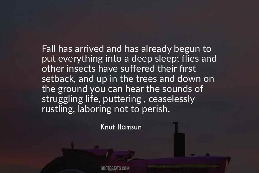 Knut Hamsun Quotes #105948