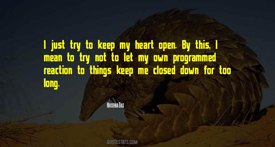 Krishna Das Quotes #1183297