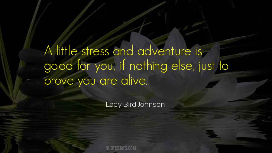 Lady Bird Johnson Quotes #847167